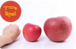 Apple Plastic Bagged FUJI Red Pink Color China Manufacturer