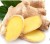 Import Chinese high quality fresh ginger supplier from China