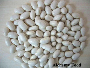 Chinese large white kidney beans