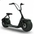 Import Citycoco Adult Fat Tire Motor cycle Electric Bicycle 1500w With Other Electric Bicycle Parts from China