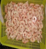 Cleaned frozen peeled shrimp