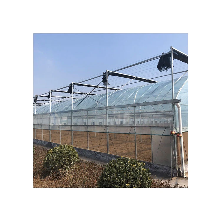 Commercial agricultural cheap plastic tunnel multi span film greenhouse greenhouse agriculture