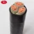 Import Copper conductor XLPE insulation CU/XLPE/PVC, YJV 3.6/6kV power cable underground cable from China