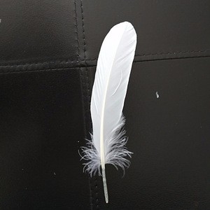curved duck feather material for shuttlecock