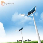 Custom 3-10m led garden light outdoor solar led garden pole light
