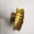 Import Custom Bronze Stainless Steel Worm Wheel Worm Gear from China