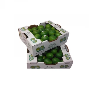 Custom foldable fruit carton packing food carton paper box