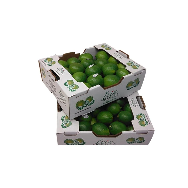 Custom foldable fruit carton packing food carton paper box