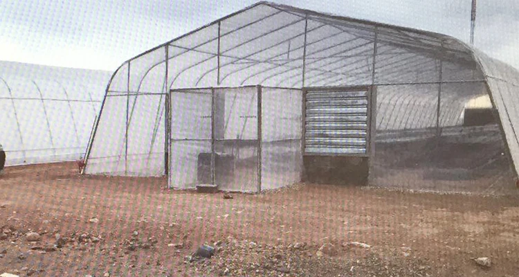 Custom made Gothic HIGH TUNNELS greenhouse China manufacture best snow load Easy installed vegetable green house for sale