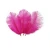 Import Custom white and colored ostrich feather  for decoration from China