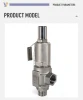 Customizable Stainless Steel Spring Loaded Safety Valve for Air Natural Gas Pipeline