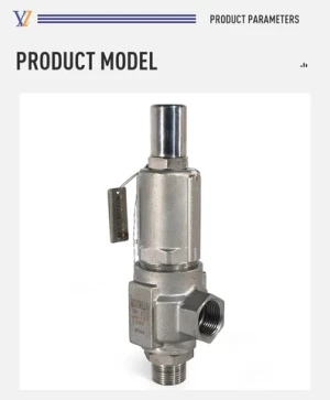 Customizable Stainless Steel Spring Loaded Safety Valve for Air Natural Gas Pipeline