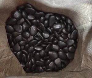 Decorative Black Polished Pebble Stone
