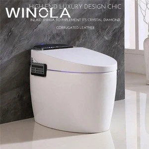 Delicate appearance hot product chinese wc one piece one piece smart toilet cover