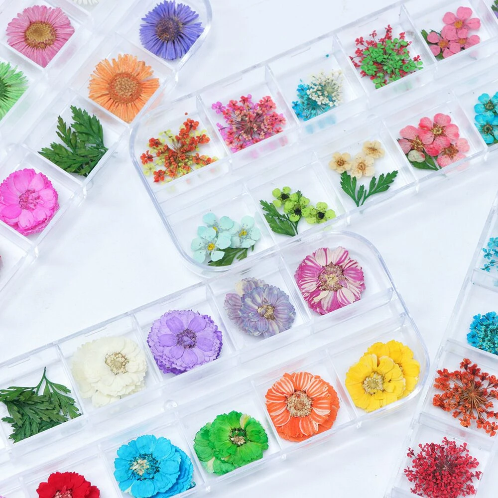 Designs Art Decorations Flower Dried Flowers Dry for Nails Pressed Wholesale Nail Supplies