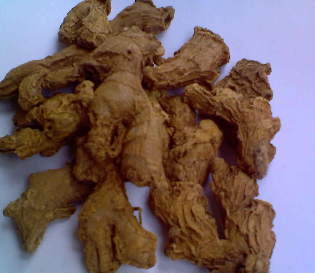Excellent Quality Dried Ginger in Wholesale Rates