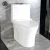 Import Dual-Flush s trap one piece toilet bowl ceramic floor mounted from China