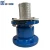 Import Ductile Iron Silent Check Foot Valve Pn16 from China