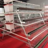 Efficient and durable 4 Layer  4 doors chicken laying egg cages