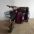 Import elderly use small cargo electric tricycle with passenger seat for sale from China