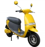 Electric gas scooters 1000W  electric motorcycles scooters for adult