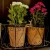 Import Export Quality of Biodegradable Coconut Coir Pots for Bulk Supply from India