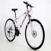 Factory 26 inch 21 speed cycling mountain bike , Hot style promotional mountain bicycle with double disc brake