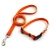 Import Factory personalized Eco-friendly rpet material dog collars and leash eco-friendly from China