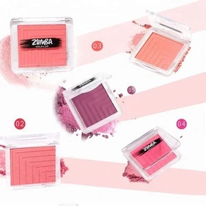 Factory Wholesale Makeup Waterproof Cosmetic Face Compact 5 Colors Powder Face Blushes