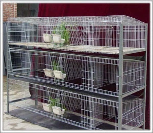 Farming Poultry Cages/Metal Rabbit Cages For Sale