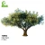 Import Fiberglass Artificial Olive Tree  Artificial Trees For Outdoor Artificial Garden Landscaping Decoration from China