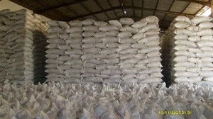 FISH MEAL READY FOR EXPORT
