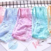 Free Sample OEM Sexy Lace G-string Transparent Panties Underwear