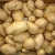 Import Fresh Bangladeshi Yukon Gold potato Brown potato from Bangladesh
