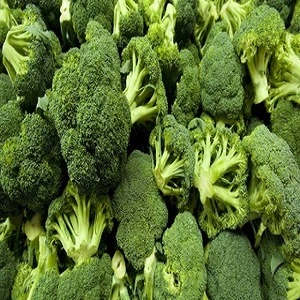 Fresh Broccoli for sale