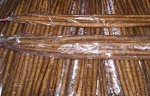 Fresh Burdock