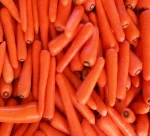 Fresh Carrot from China ( new harvest in May)