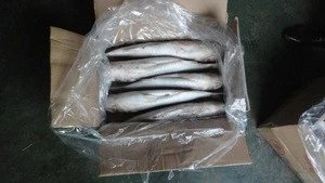 fresh cheap fish seafood Without Roe Frozen Grey Mullet