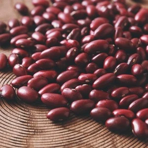 Dried & Dark Red Kidney Beans, Quality Grade