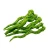 Import Fresh Green Vegetables capsicum from China