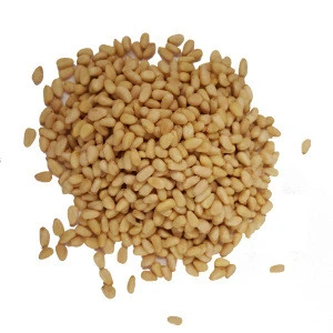 Fresh products open bulk original non-fried hand-picked pine nuts