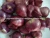 Import FRESH RED ONION - BEST PRICE - HIGH QUALITY from Vietnam
