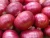Import Fresh Red onion / Brown onion , first High quality , very competitive price from Egypt