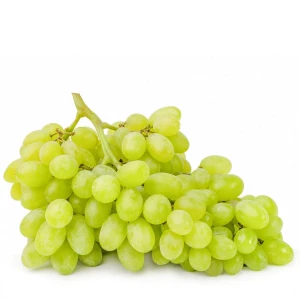 Fresh Seedless Grape at Wholesale Price