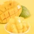 Import frozen freeze dry mango half from China