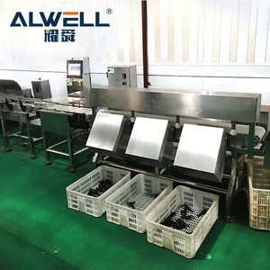 Fruit and vegetable size grading machine