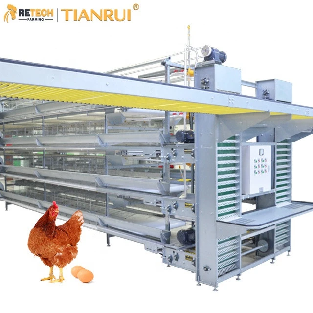 Full Automatic Battery Egg Layer Chicken Cage System Poultry Farming Equipment