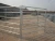Import Galvanized, Powder Coated Livestock Metal Fencing Panel, Portable Steel Cattle Corral Panels, Sheep Horse Fence Panels from China
