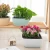 Import Garden Supplies Round Style Desktop Decor Bonsai Self Watering Plastic Flower Pot Plant from China
