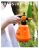Import Gardening Water Can Hand Press Grip Style Sprinkled Kettle Plants Flower Spray Watering Pot Plastic from China